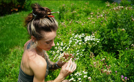 lunapowersthefairy free star gallery