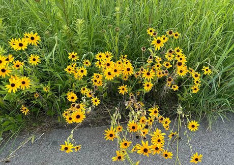 lunapowersthefairy model sex image