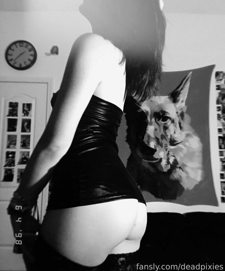 anal princess onlyfans sex galleries