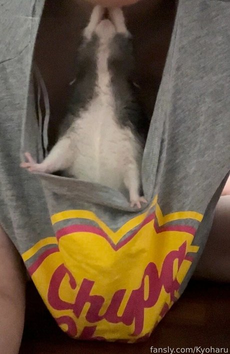 mma onlyfans free xxx photos