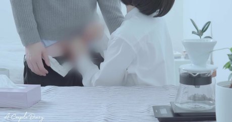 A Couple Diary art model photo