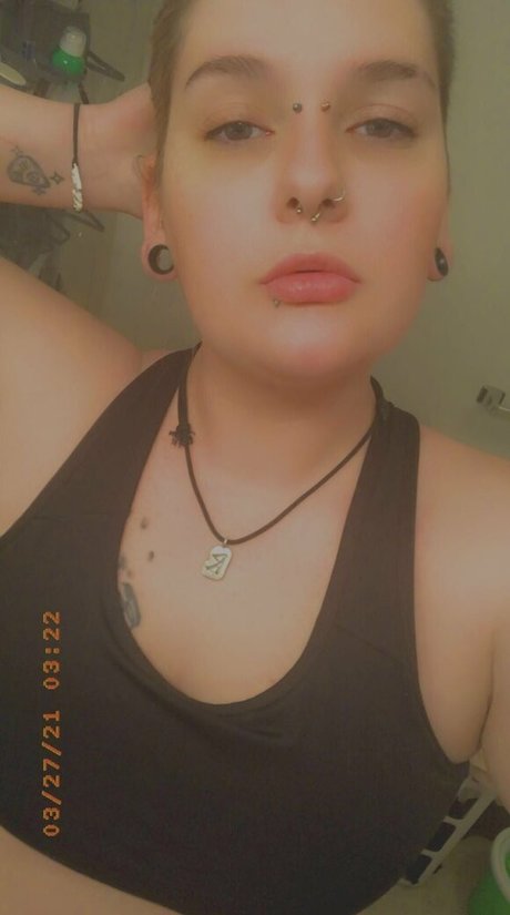 viezu star art archive