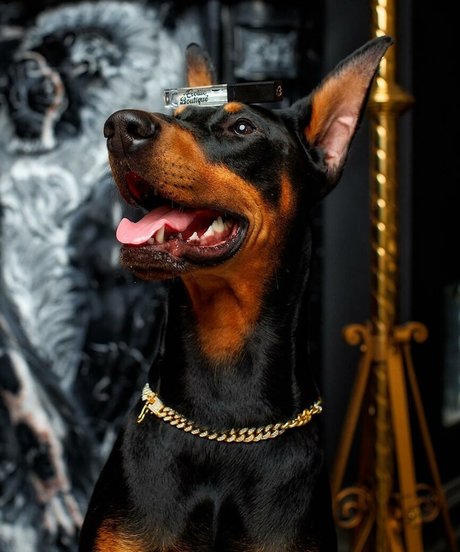 couple onlyfans hot porn galleries