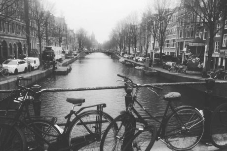 big dick shemale onlyfans free nude img