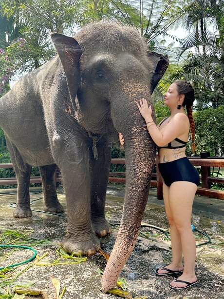 Sophiiejay model high quality picture