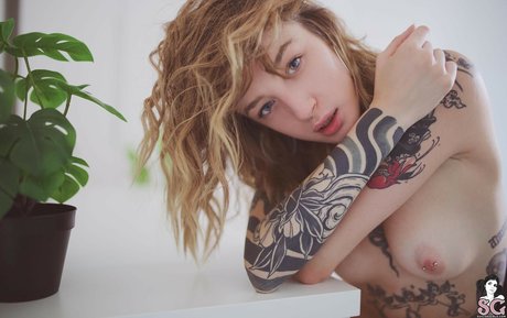 Kiara Cekici top pornstar pictures