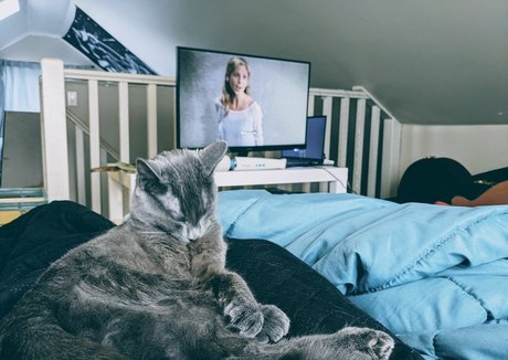 TheMissSilverWitch pornstar nude images