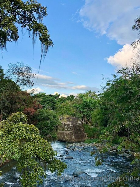 tinaputina nice model archive