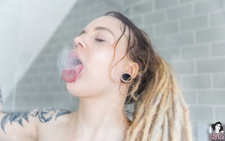 Mundi top model archive