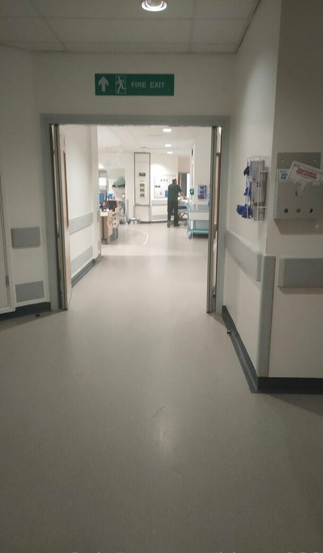 bloom666 pornographic star image