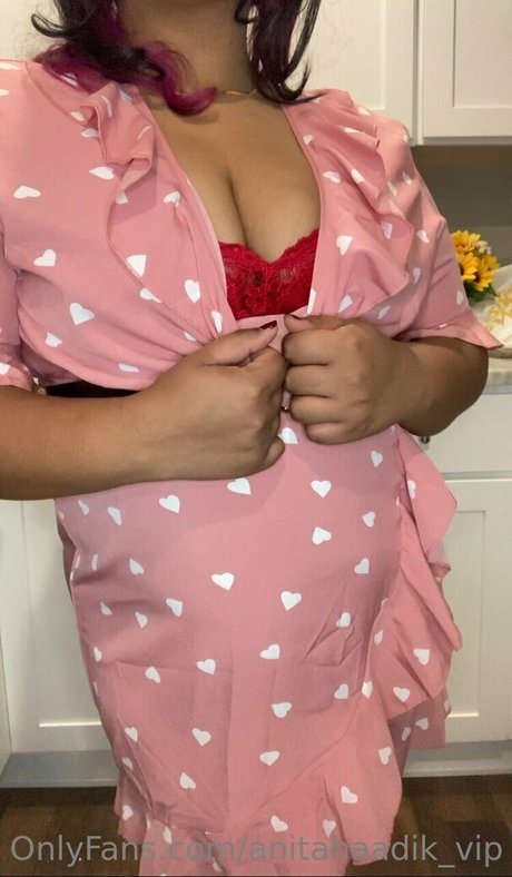 anitahaadik vip art model pic