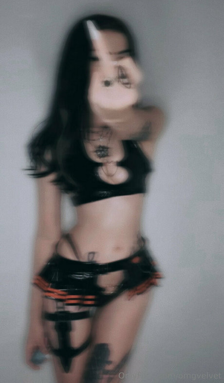 omgvelvet free model photos