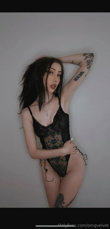 omgvelvet pornstar adult archive