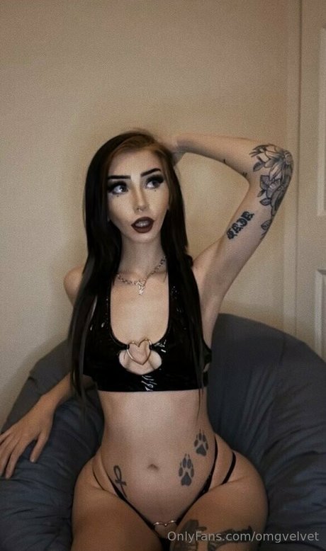 omgvelvet star exclusive gallery