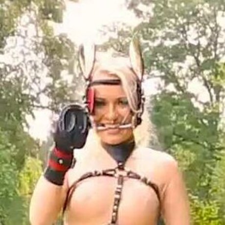 Lara Larsen star art gallery