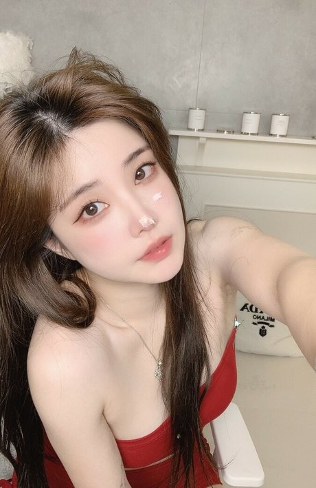 plppt123 top model img