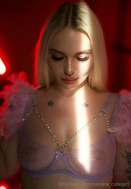 misss sandra vip top model gallery