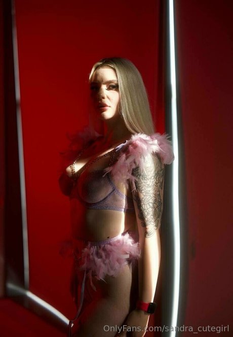 misss sandra vip pornstar adult image