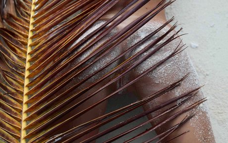 Zurine Aspiunza hot pornstar picture