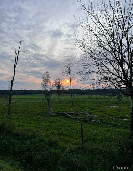 seduction onlyfans sex pictures