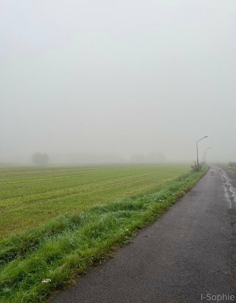 i sophie naked actress pic