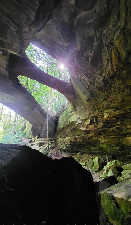 pinkplushieplants porn star archive