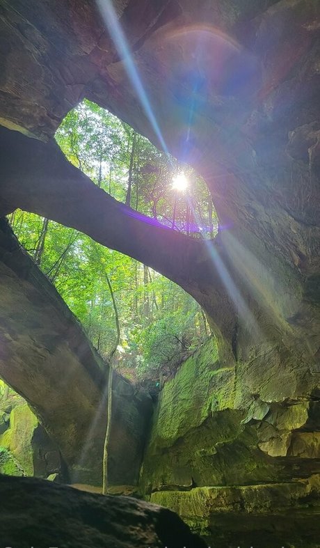 pinkplushieplants sexy star image