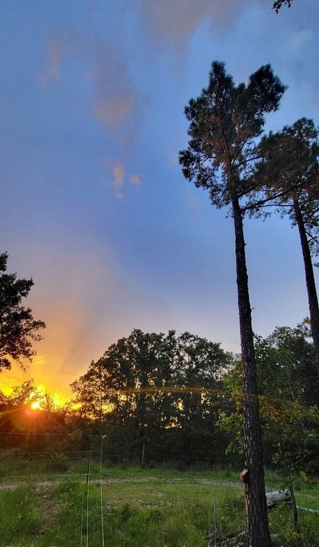 pinkplushieplants star erotic galleries