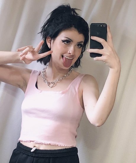 Colliscool star top pictures