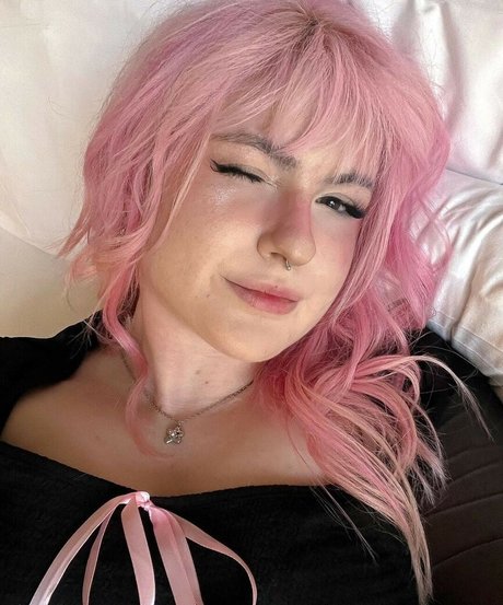 Colliscool top star gallery