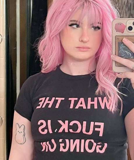 Colliscool model top picture