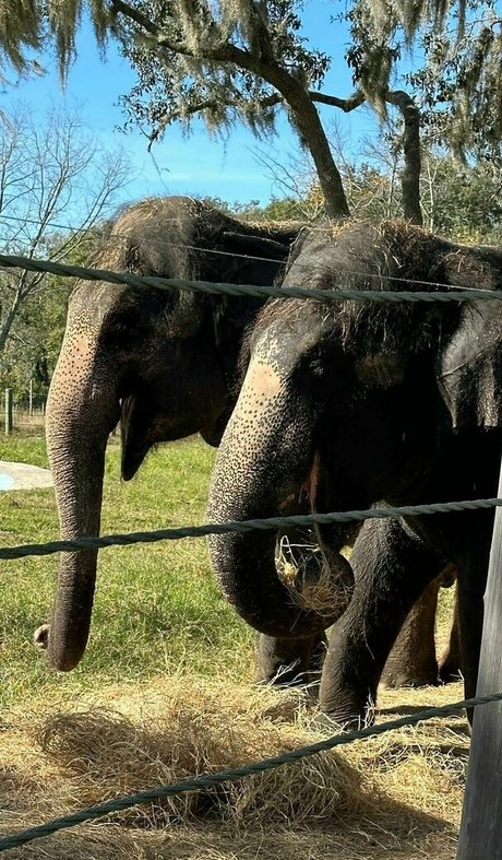 brandilovefreee sex actress galleries