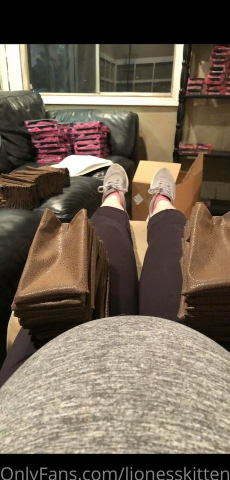 lionesskitten art star images