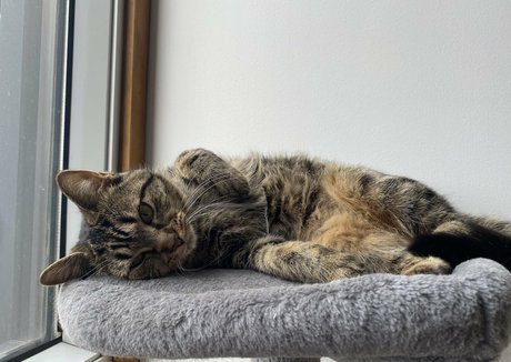 naked pictures onlyfans exclusive gallery