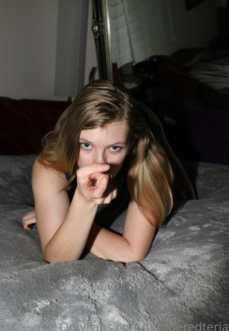 temperedteria Images