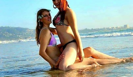 temperedteria model best archive