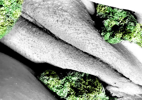 artsyinkedblonde pornstar perfect archive