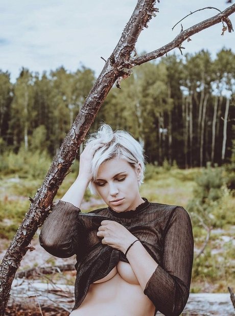 pure dee art star photo