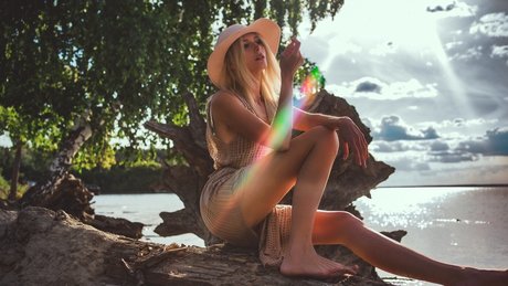 Wolffix model top images