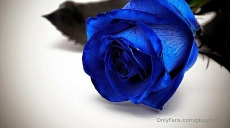 only queen84 pornstar high quality pic