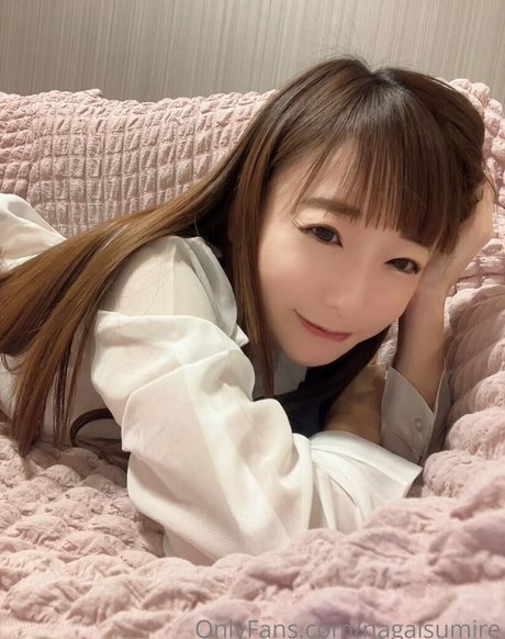 nagaisumire model top photo