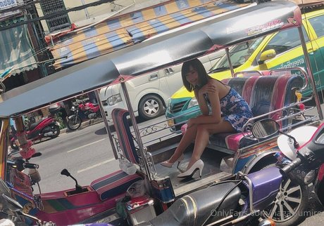 nagaisumire top actress pictures