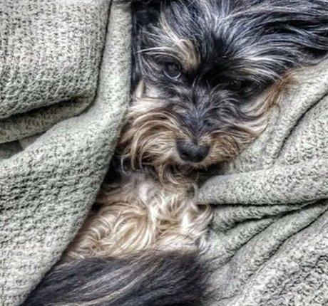 shemale fucks girl onlyfans nice image