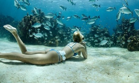 Katie Pentz star art pics