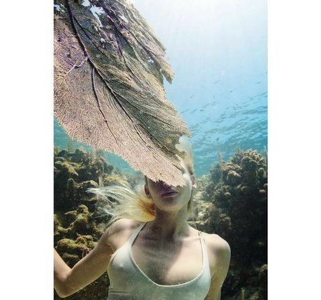 Katie Pentz star best picture