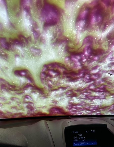 hurricanelexi model art gallery