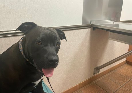 thesheridanlove naked pornstar gallery