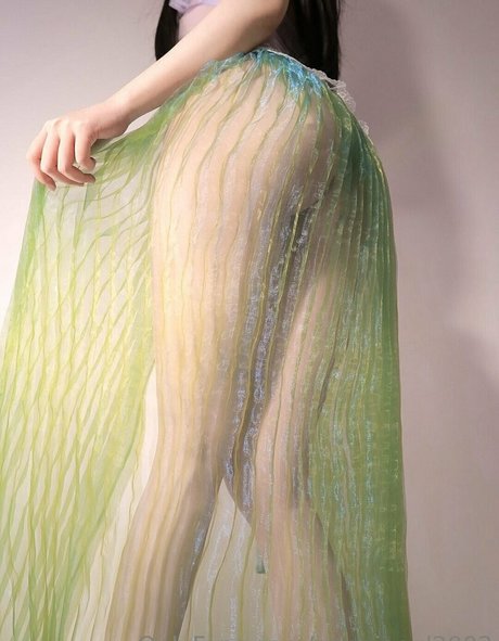 gemini0508 model perfect images