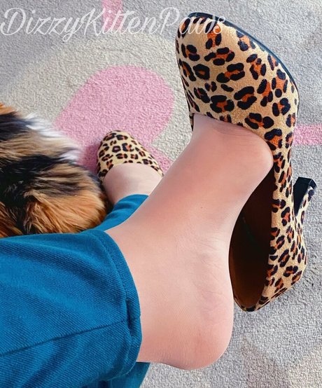 dizzykittenpaws hot model images