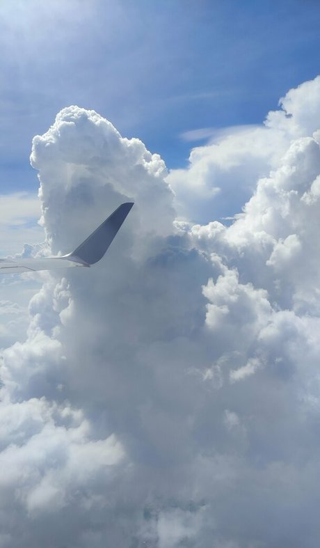 latino onlyfans art porn photos